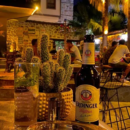 Old House Pub Hotel *