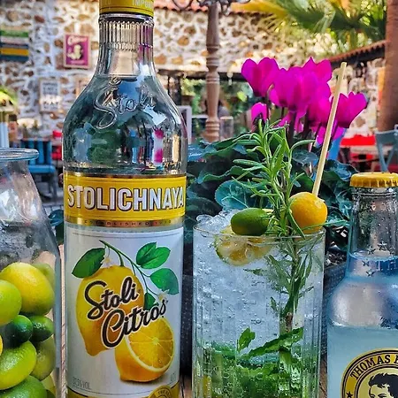 Hotel Old House Pub *